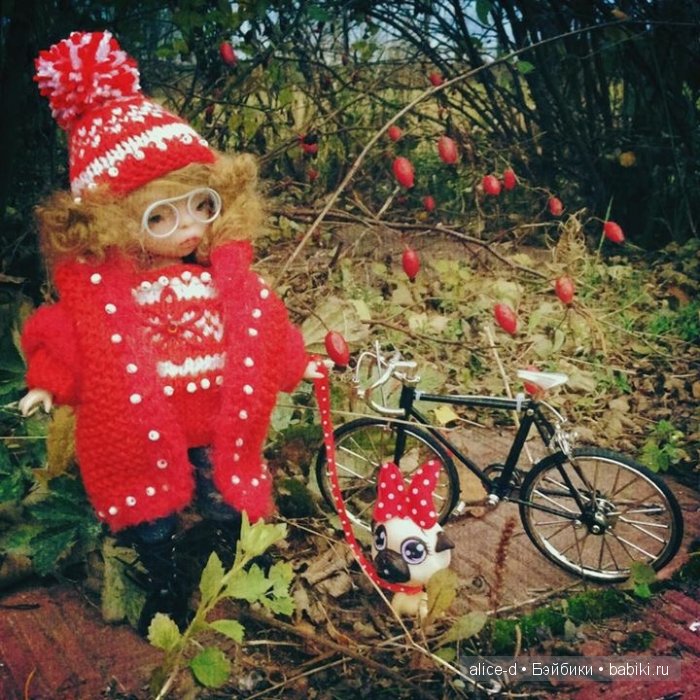 Алисина осень — Куклы F&B Doll Studio: российские BJD (БЖД) (фото 8)