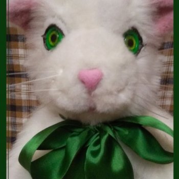 Кот Пельмеш, белый и пушистый