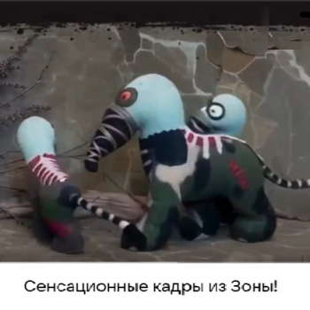 Кажется, мы чего-то не знаем о снорках?..