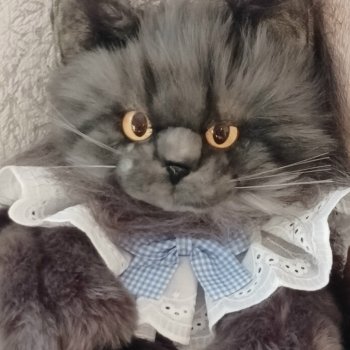 Которюкзак