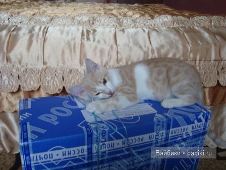 Моя Танюшка :) Кукла-реборн Светланы Преображенской (фото 4)