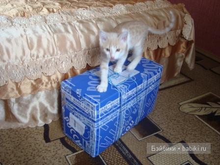 Моя Танюшка :) Кукла-реборн Светланы Преображенской (фото 2)