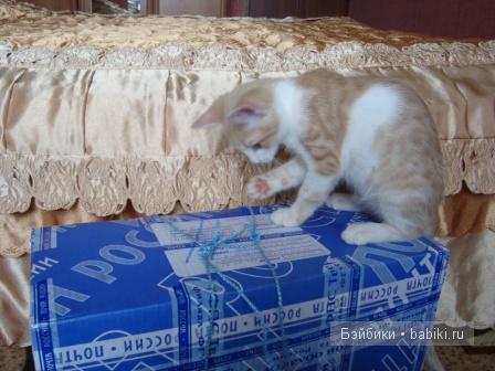 Моя Танюшка :) Кукла-реборн Светланы Преображенской (фото 3)