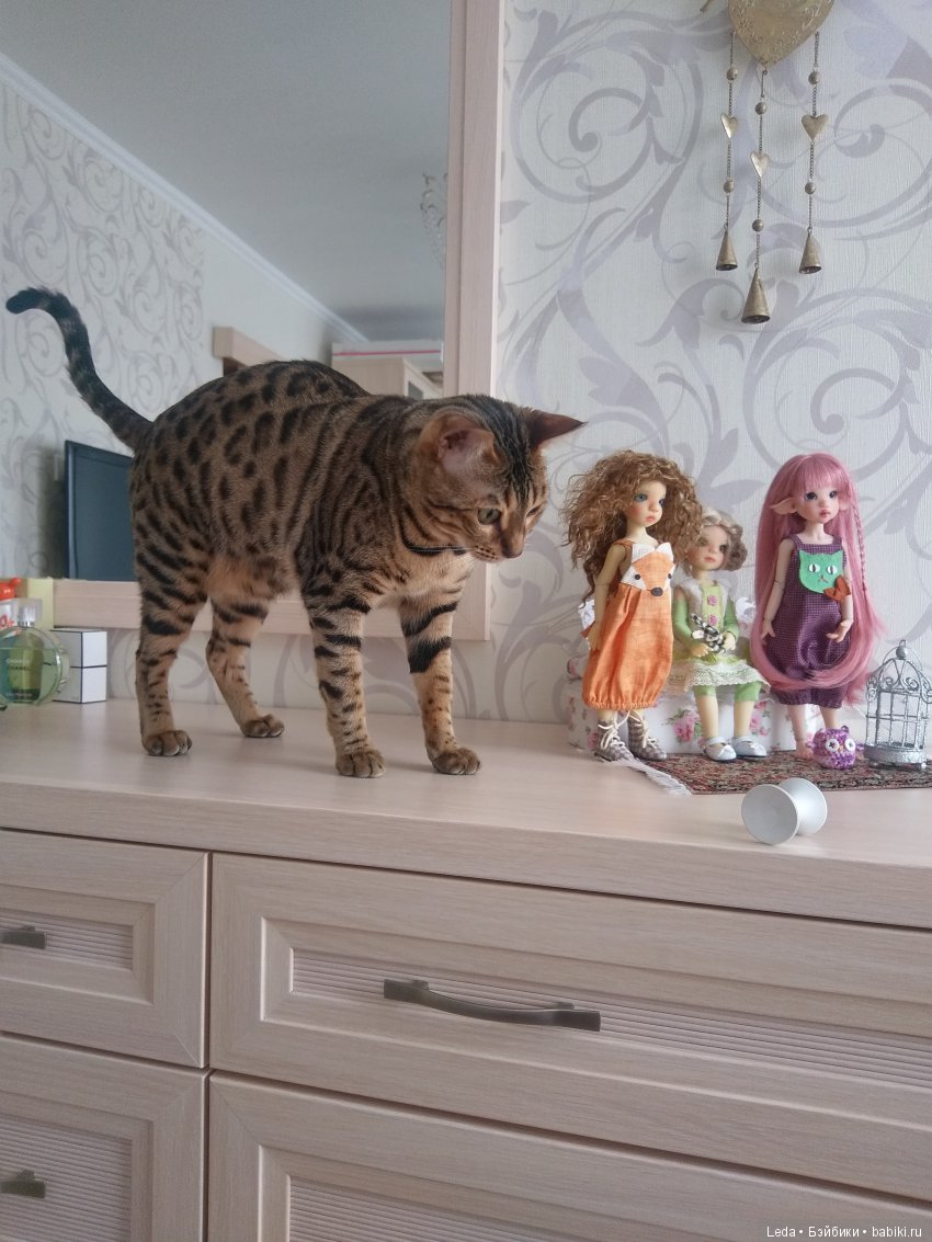 СПА-клиника кукольного доктора (фото 8)