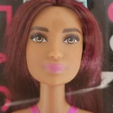 Barbie Fashionistas #17