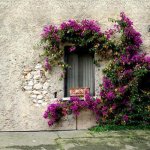 Закрыто. Коллективный заказ (фоны для фотографирования)
