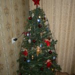 С наступающим Новым годом! Моя коллекция кукол 2012.