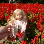 Нежность от Zwergnase! Игровая куколка Ellen