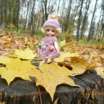 Золотая осень. Сосенка Пин - куколка БЖД