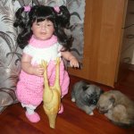 Куклы и собаки. Радость в нашем доме