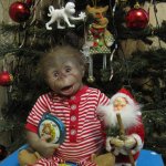 Как мы встречали Новый 2016 год