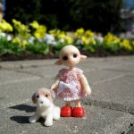 Розочка. Куколка микро-БЖД