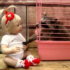 Лето. Солнце. Море. Всё смешалось - звери, куклы. Часть2