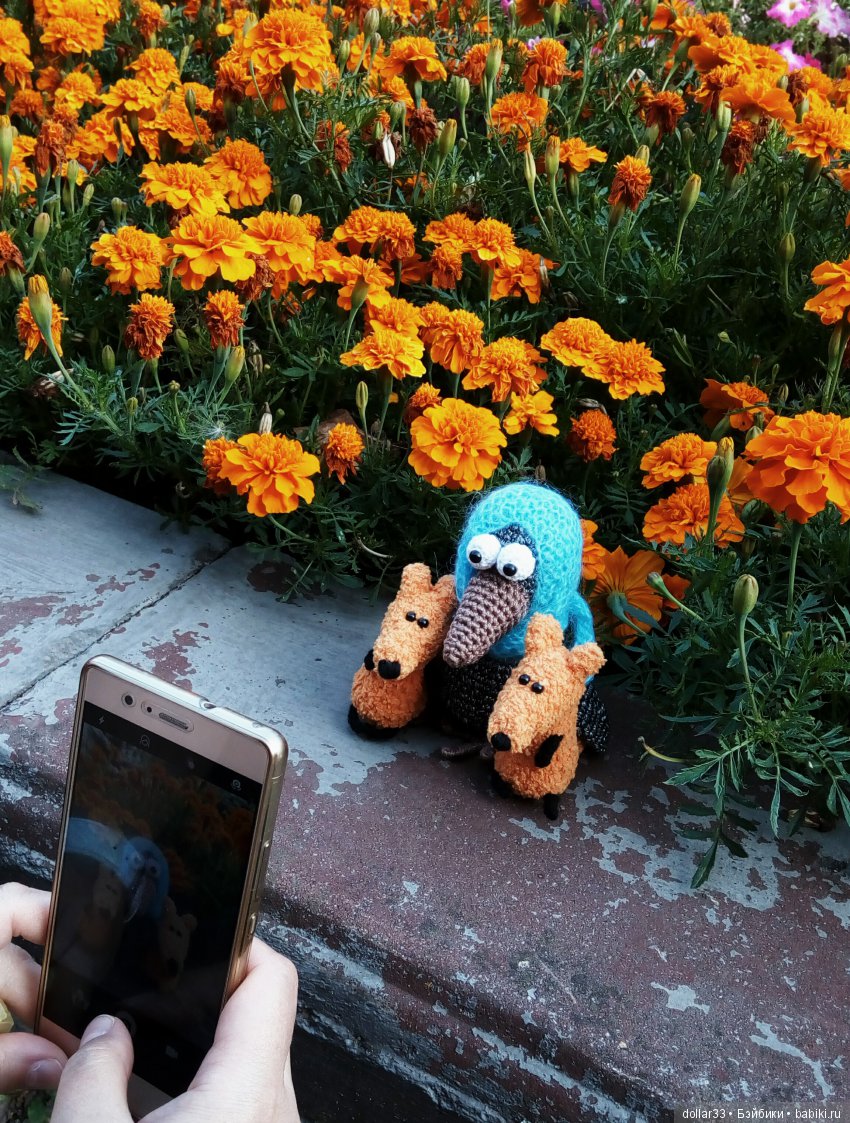 Приглашаем! Нашему городу 64 года