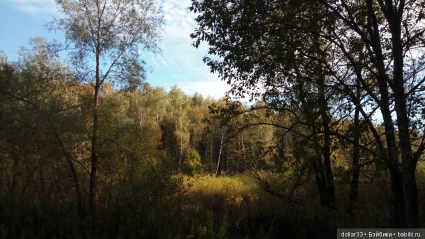 Ириска, авторская киска — Авторские мишки Тедди и друзья: фото (фото 5)