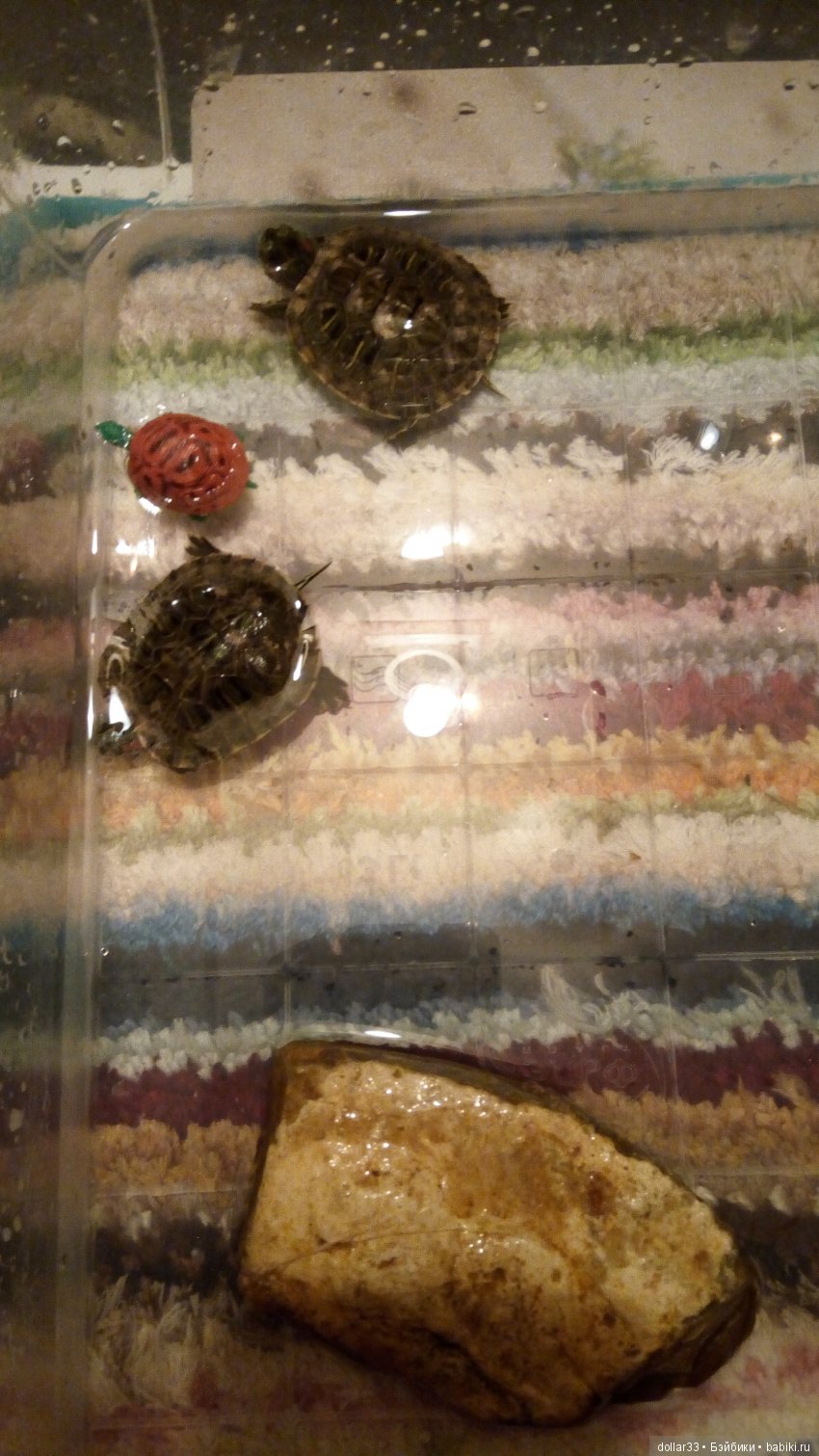 Сказка для черепашки — Игровые куклы разных производителей (Разное): редкие бренды