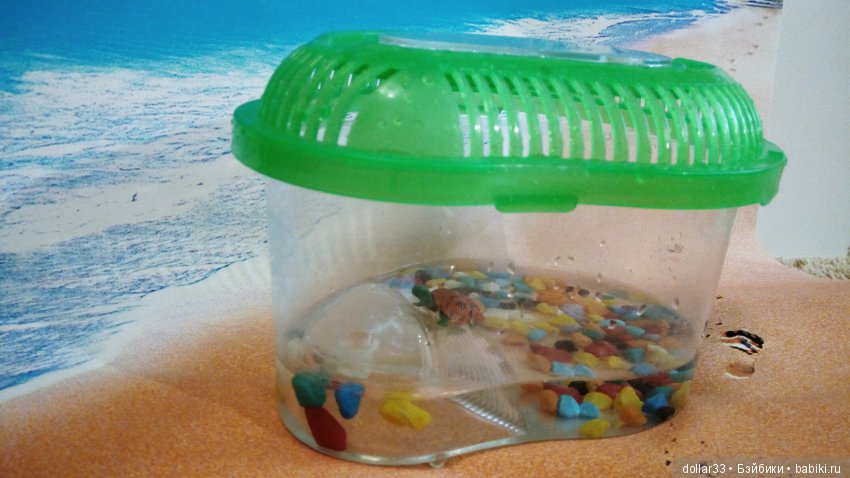 Сказка для черепашки — Игровые куклы разных производителей (Разное): редкие бренды (фото 9)