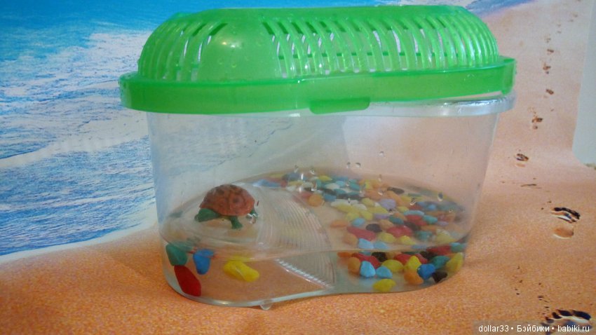 Сказка для черепашки — Игровые куклы разных производителей (Разное): редкие бренды