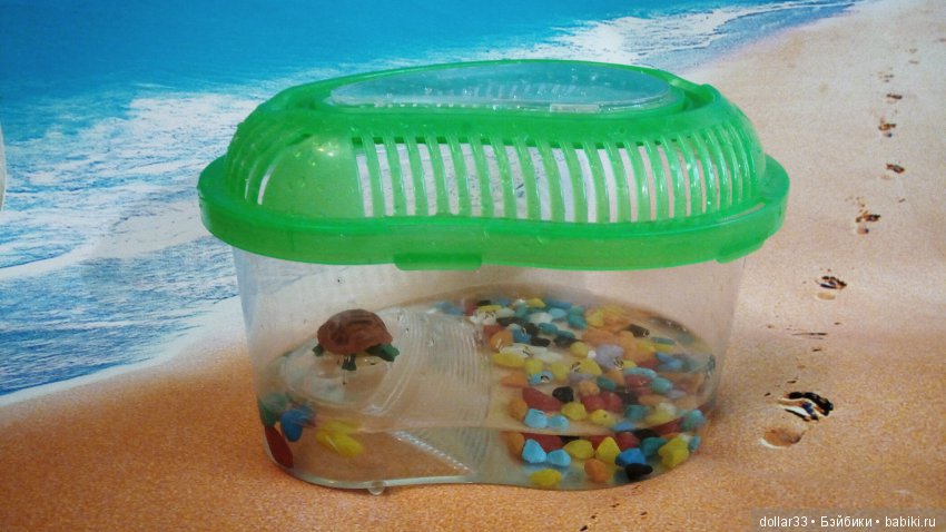 Сказка для черепашки — Игровые куклы разных производителей (Разное): редкие бренды (фото 7)