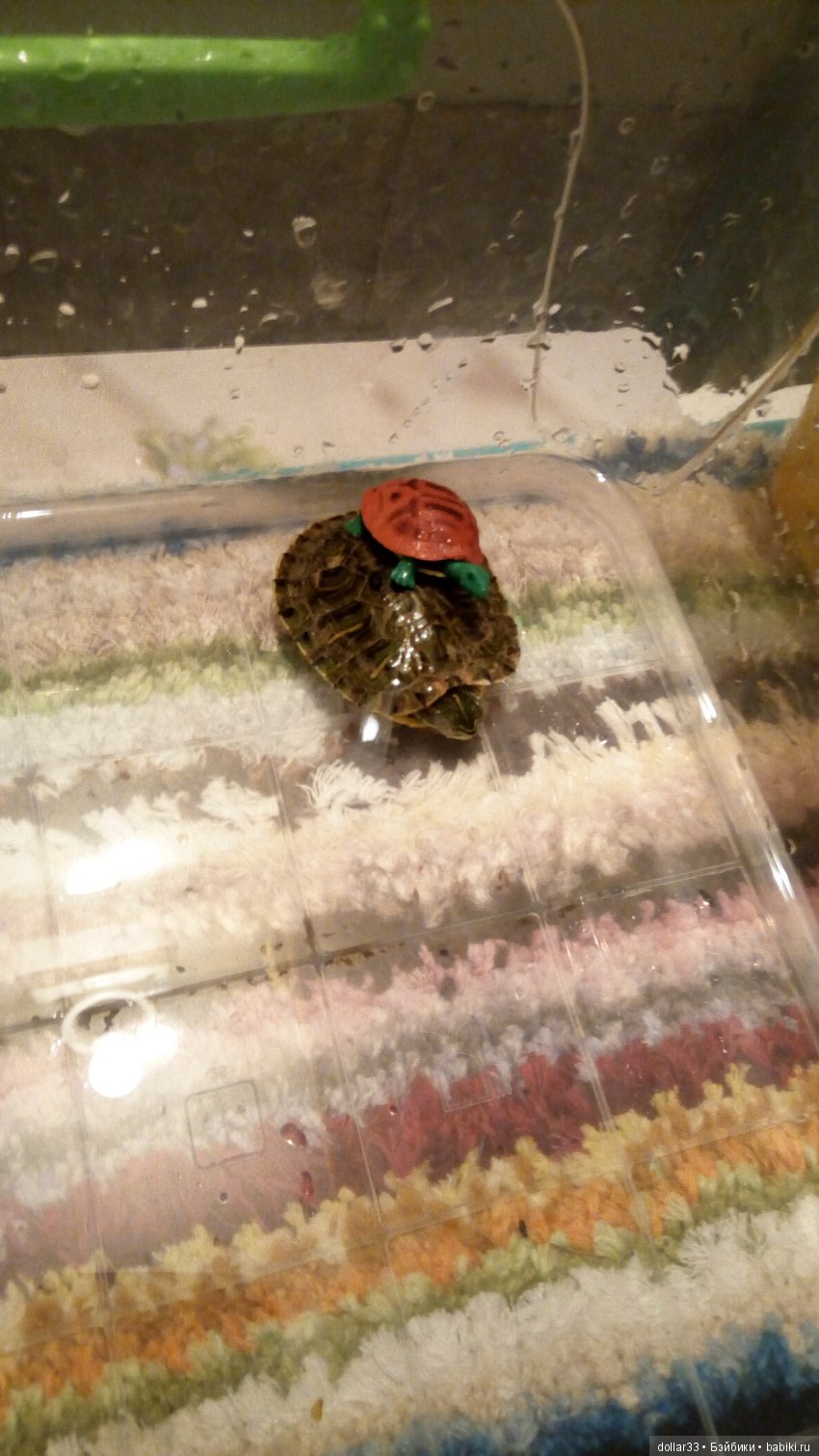 Сказка для черепашки — Игровые куклы разных производителей (Разное): редкие бренды