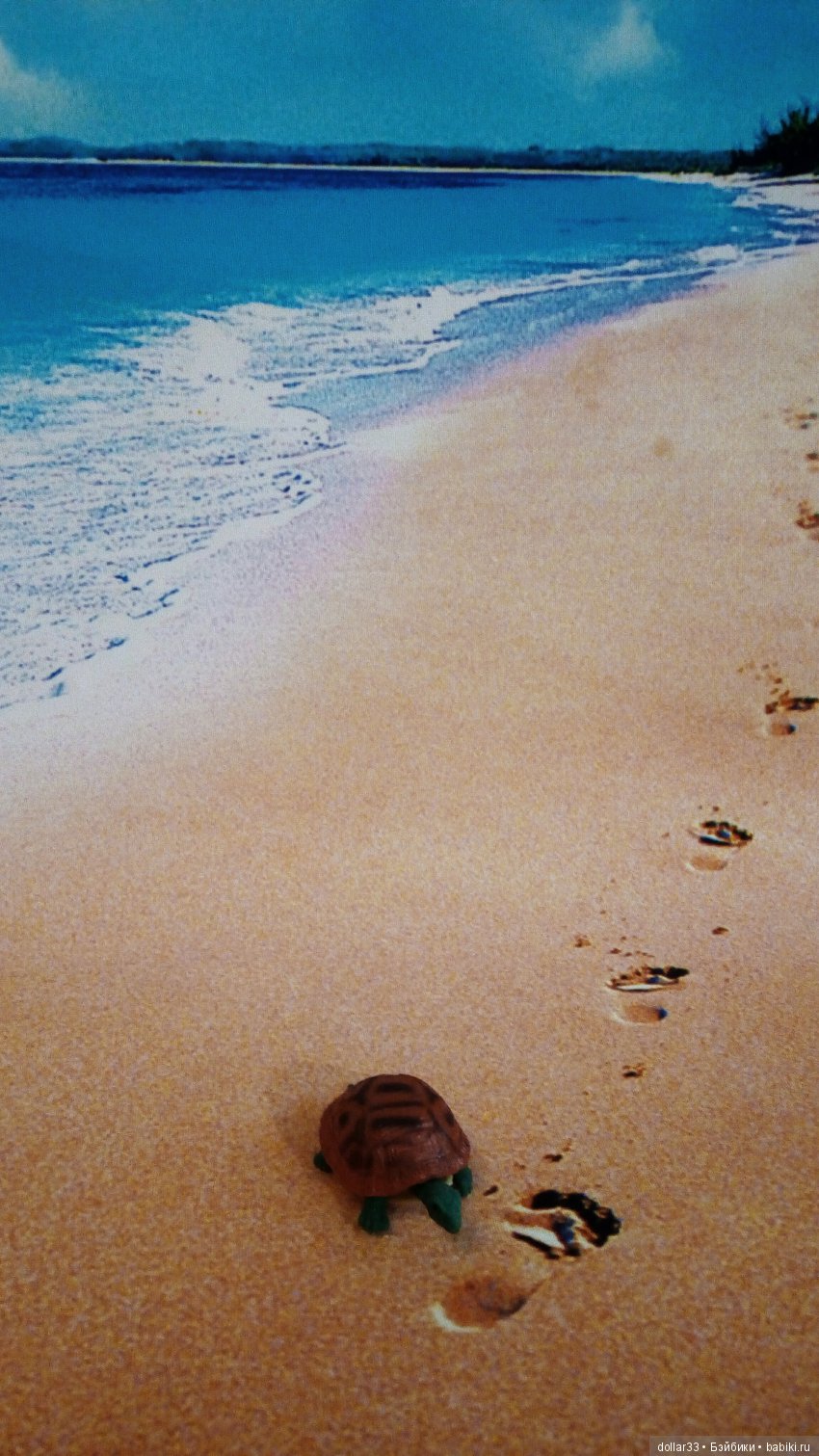 Сказка для черепашки — Игровые куклы разных производителей (Разное): редкие бренды (фото 3)