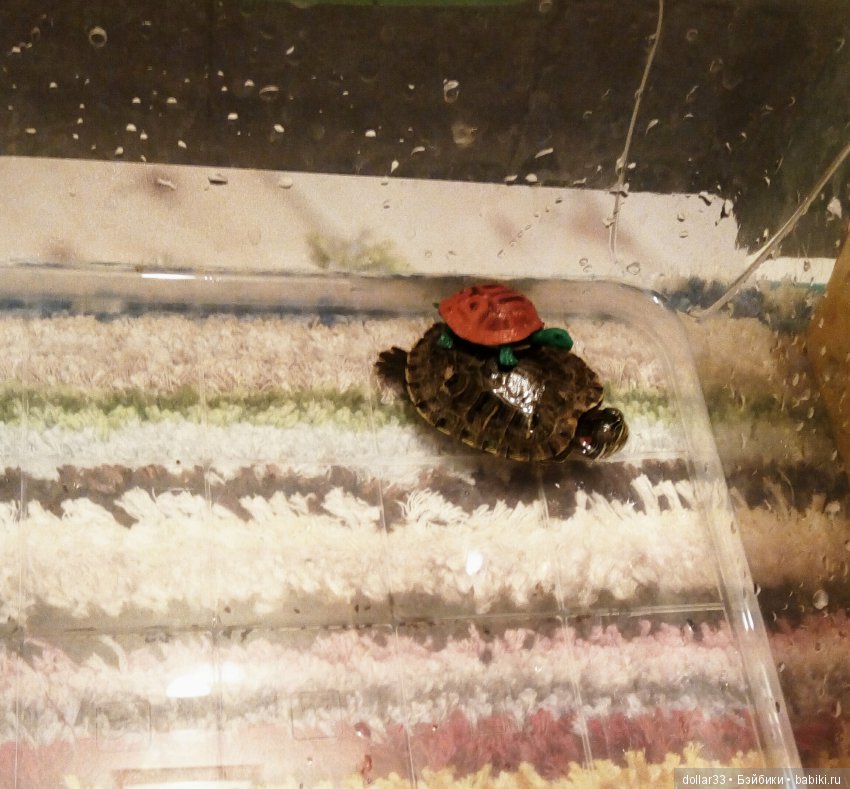 Сказка для черепашки — Игровые куклы разных производителей (Разное): редкие бренды