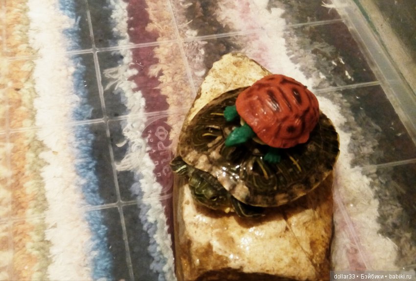 Сказка для черепашки — Игровые куклы разных производителей (Разное): редкие бренды