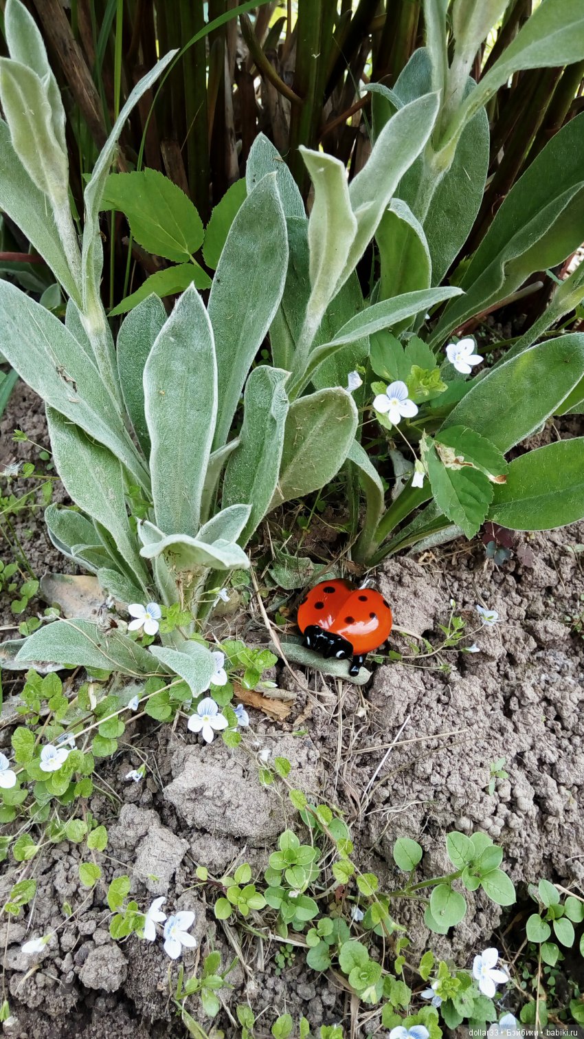 Галчонок. Прогулка — Куклы Dianna Effner (Эффнер) из винила: Little Darling