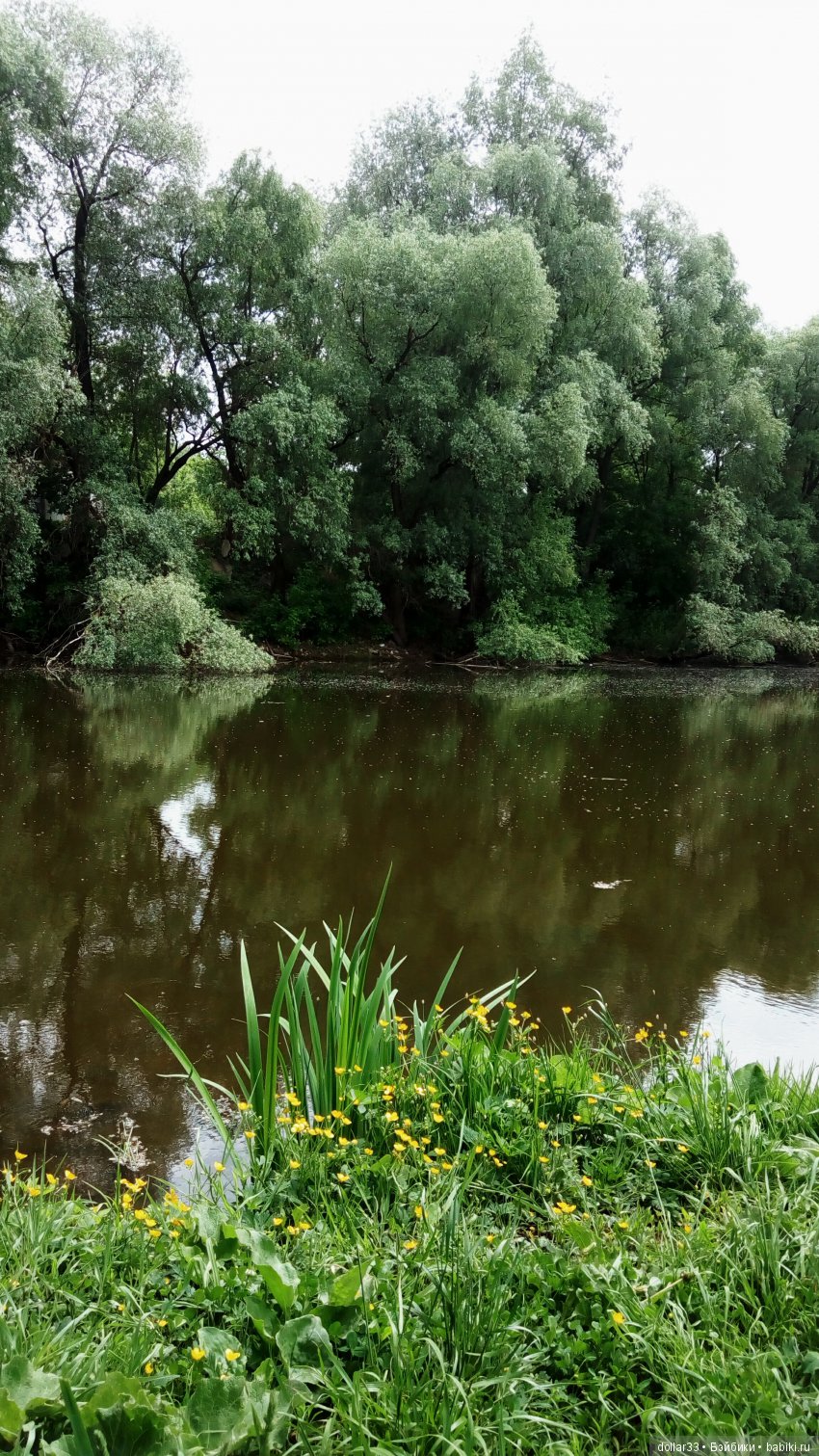 Галчонок. Прогулка — Куклы Dianna Effner (Эффнер) из винила: Little Darling