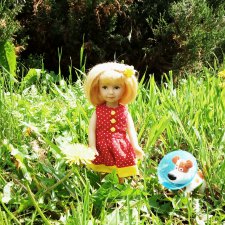 Галчонок. Прогулка