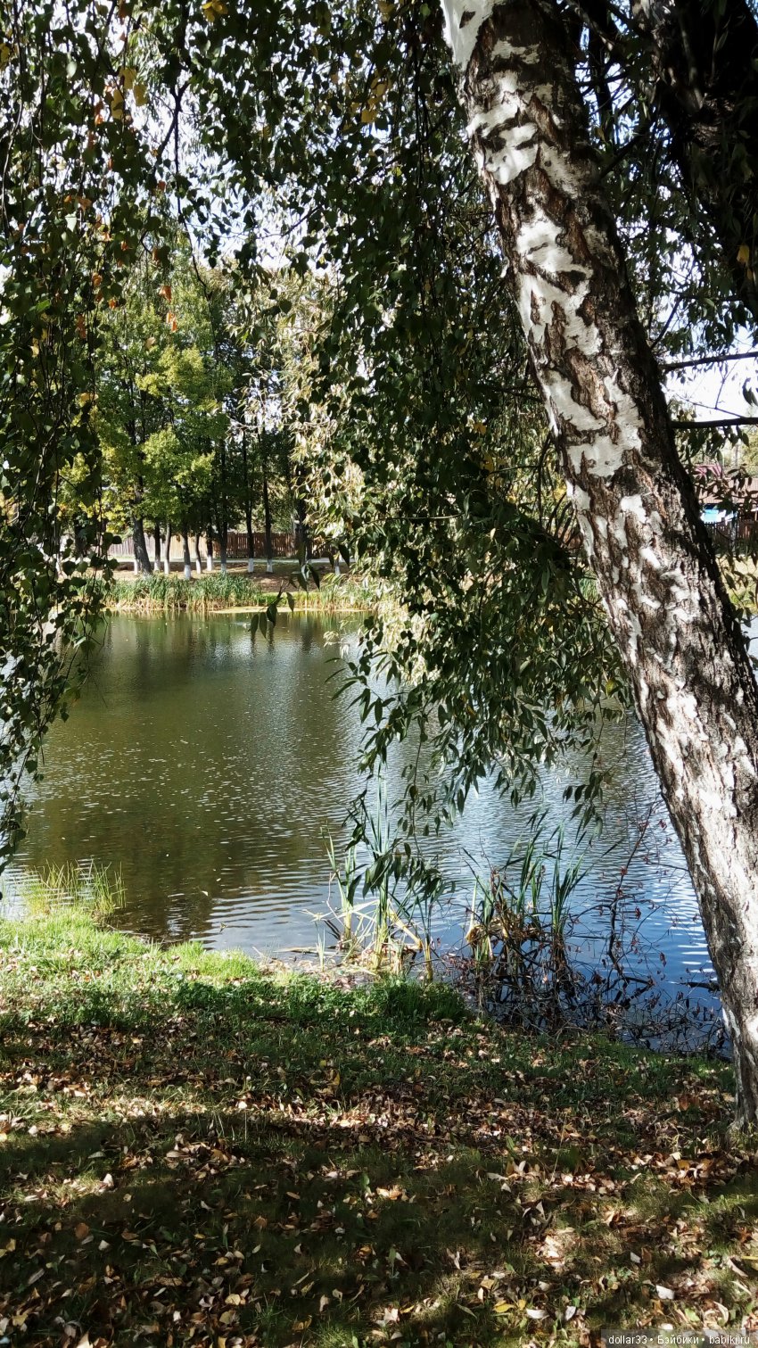 Краски осени. Светочка - шарнирная кукла из СССР