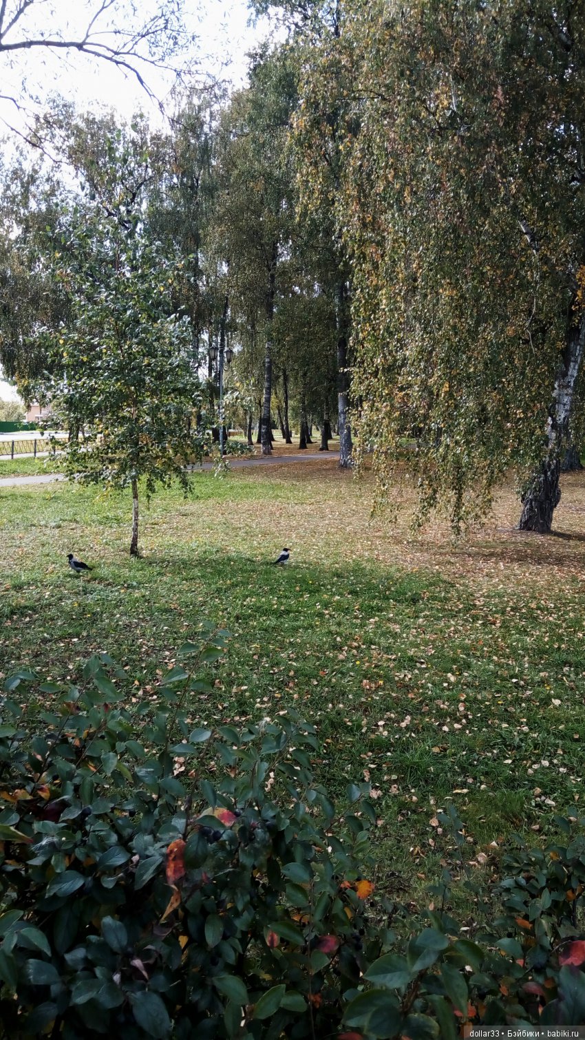 Краски осени. Светочка - шарнирная кукла из СССР