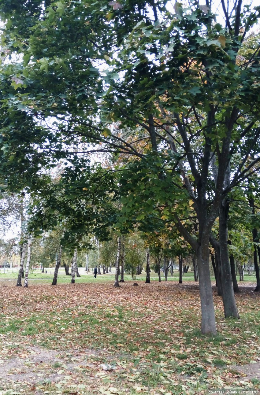 Краски осени. Светочка - шарнирная кукла из СССР (фото 4)