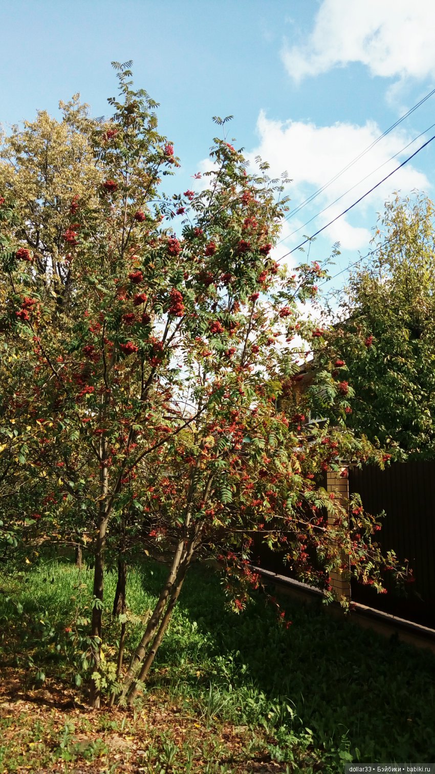 Краски осени. Светочка - шарнирная кукла из СССР