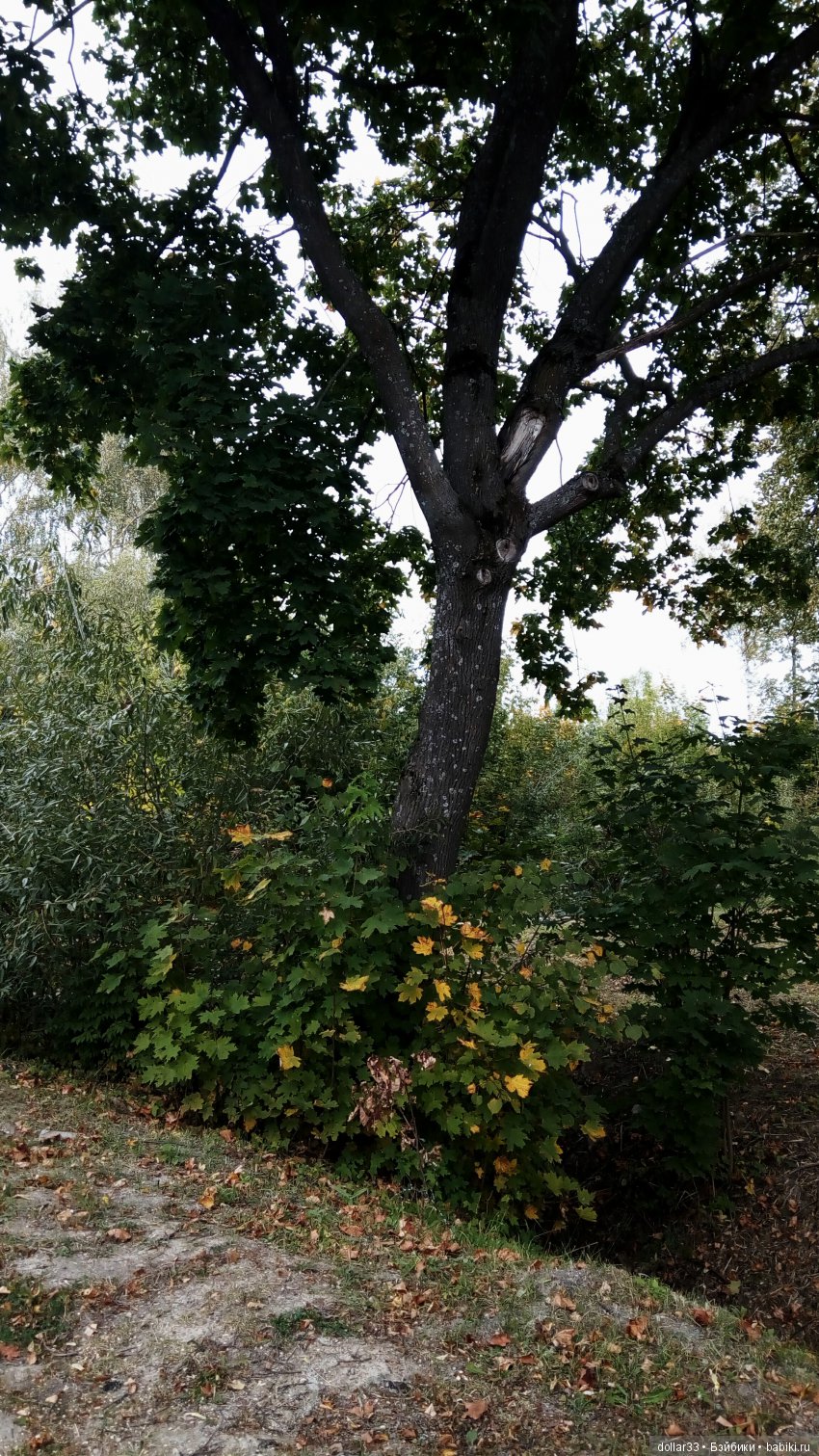 Краски осени. Светочка - шарнирная кукла из СССР