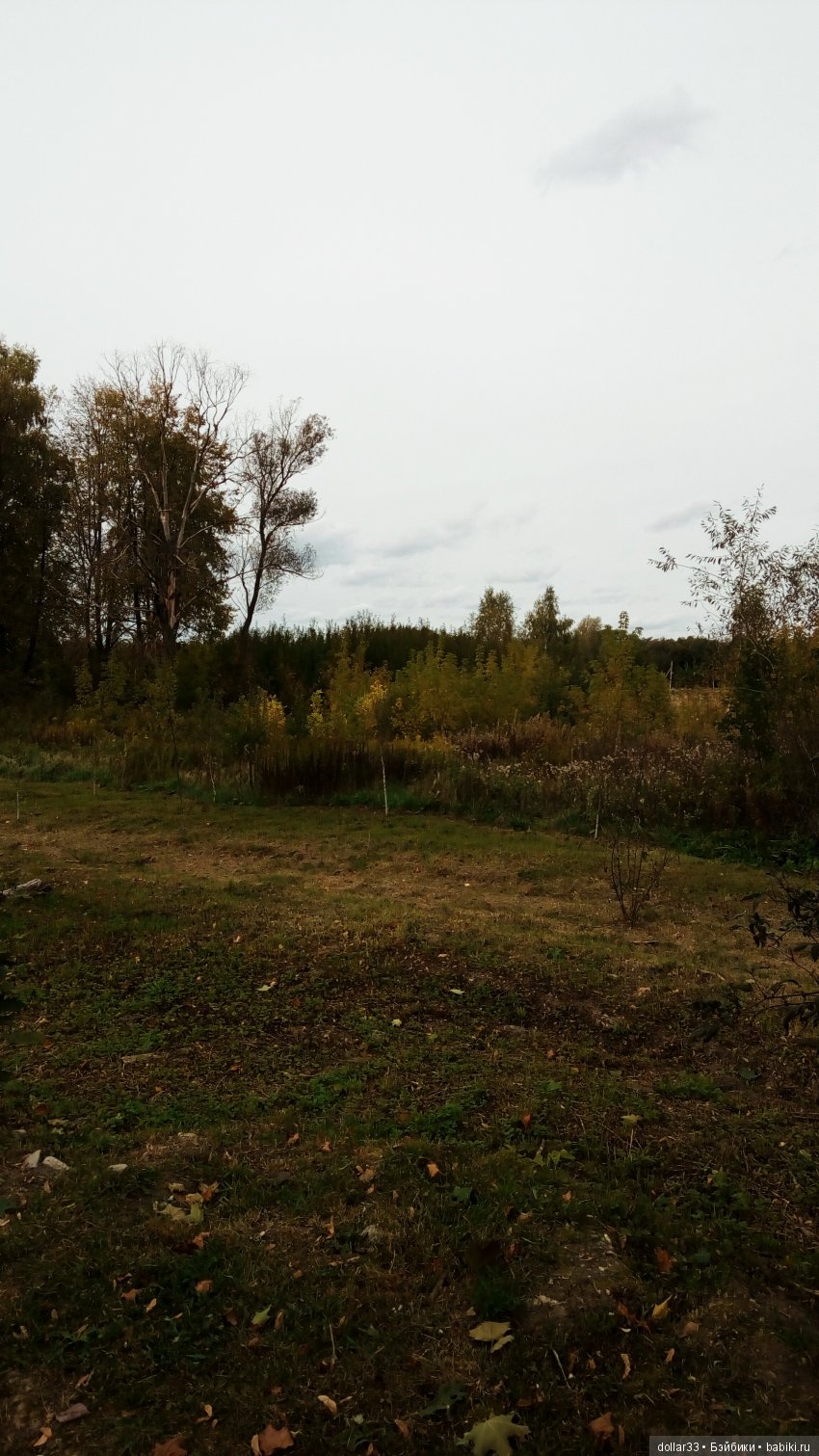 Краски осени. Светочка - шарнирная кукла из СССР