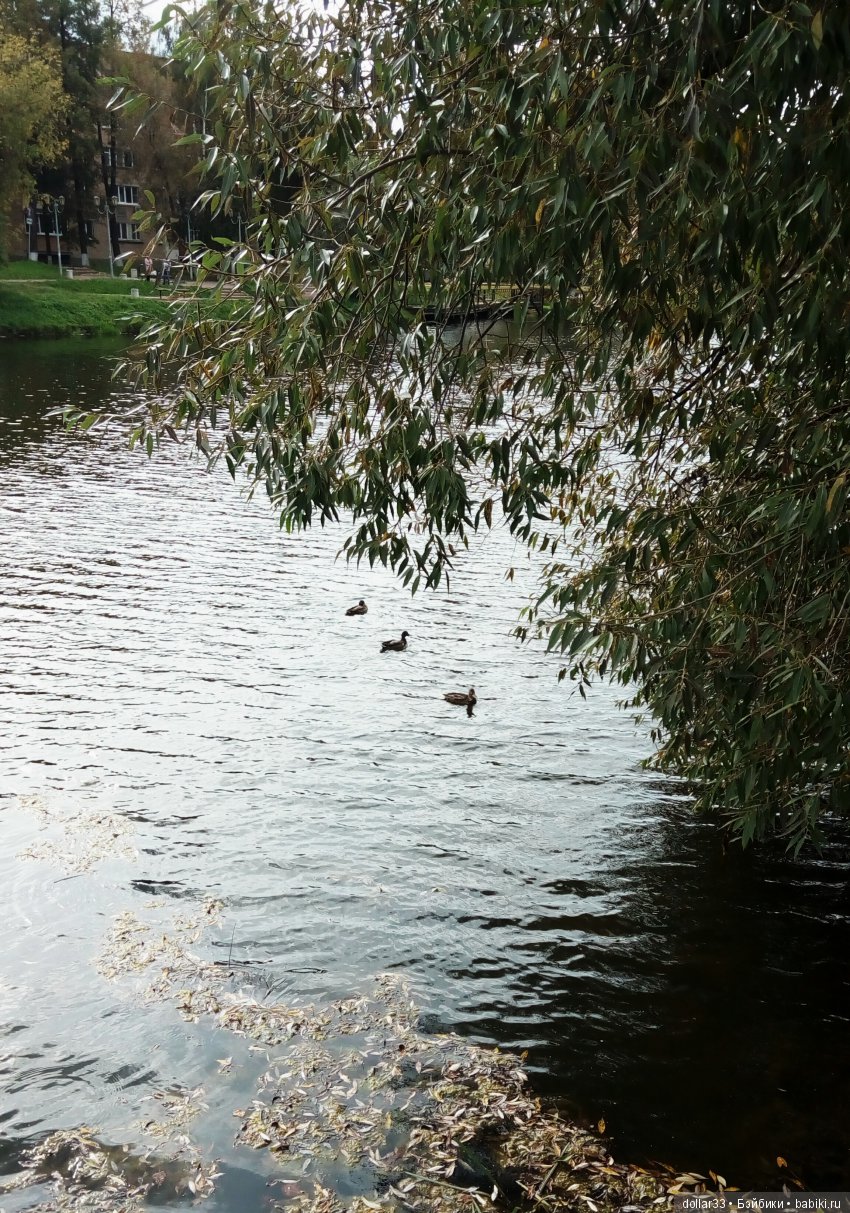 Краски осени. Светочка - шарнирная кукла из СССР (фото 5)