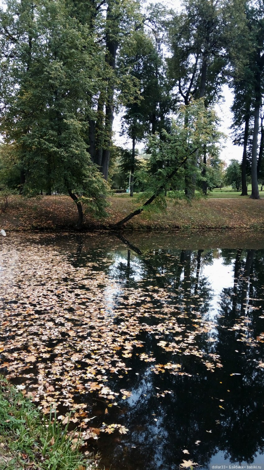 Краски осени. Светочка - шарнирная кукла из СССР