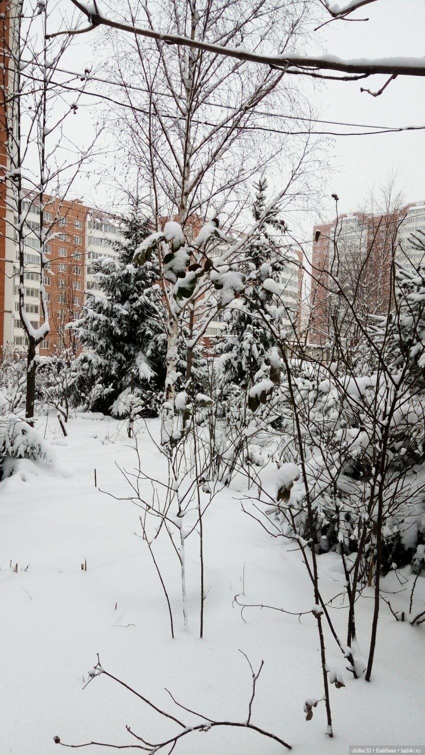 Делимся снежком — Куклы Heidi Plusczok (Хайди/Хейди Плюсчок) — фото (фото 7)