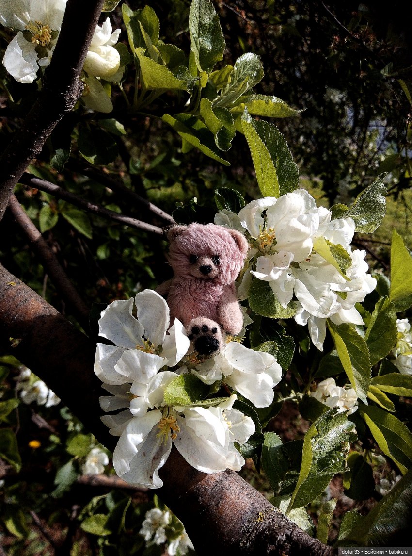 Реборн Teddydoll Камеко — Куклы Реборн (Reborn): домашние фото