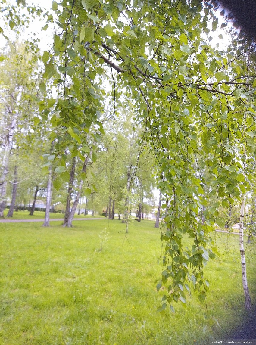 Реборн Teddydoll Камеко | Бэйбики Реборн Teddydoll Камеко — Куклы Реборн (Reborn): домашние фото (фото 10)