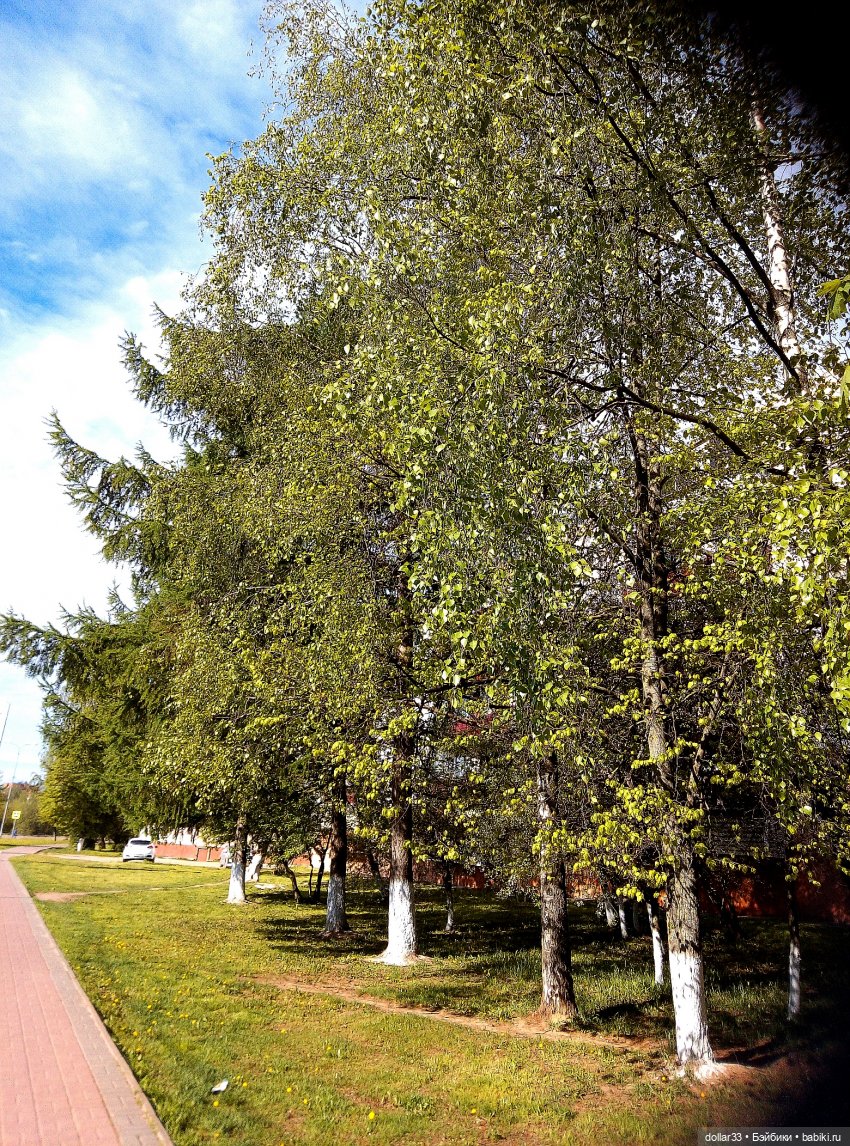 Реборн Teddydoll Камеко | Бэйбики Реборн Teddydoll Камеко — Куклы Реборн (Reborn): домашние фото