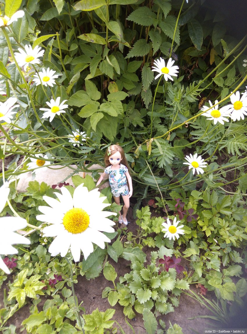 Наше лето 2020. Маруся — Коллекционные куклы разных авторов (Разное): редкие бренды (фото 3)