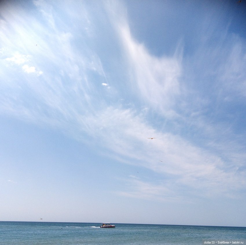 Лето 2020. Южный привет от меня и от Катюши