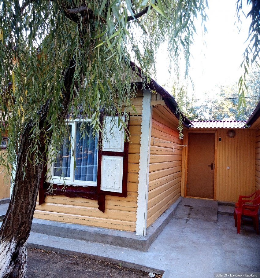 Лето 2020. Южный привет от меня и от Катюши (фото 5)