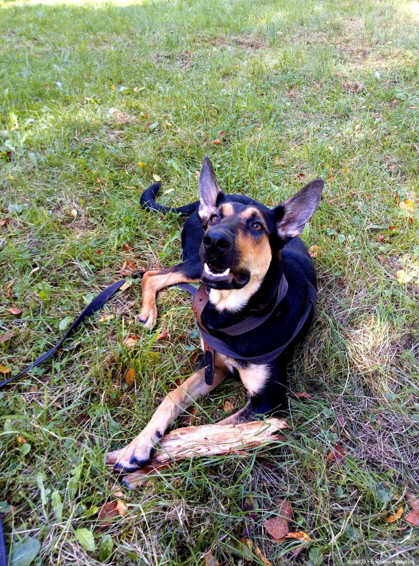 Наше лето 2020. Злата. Катюша. Эсна. Конг