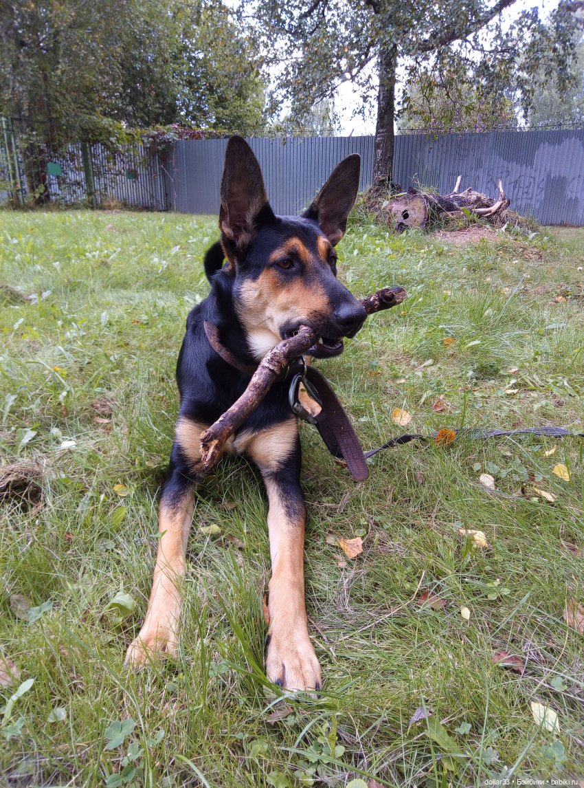 Наше лето 2020. Злата. Катюша. Эсна. Конг