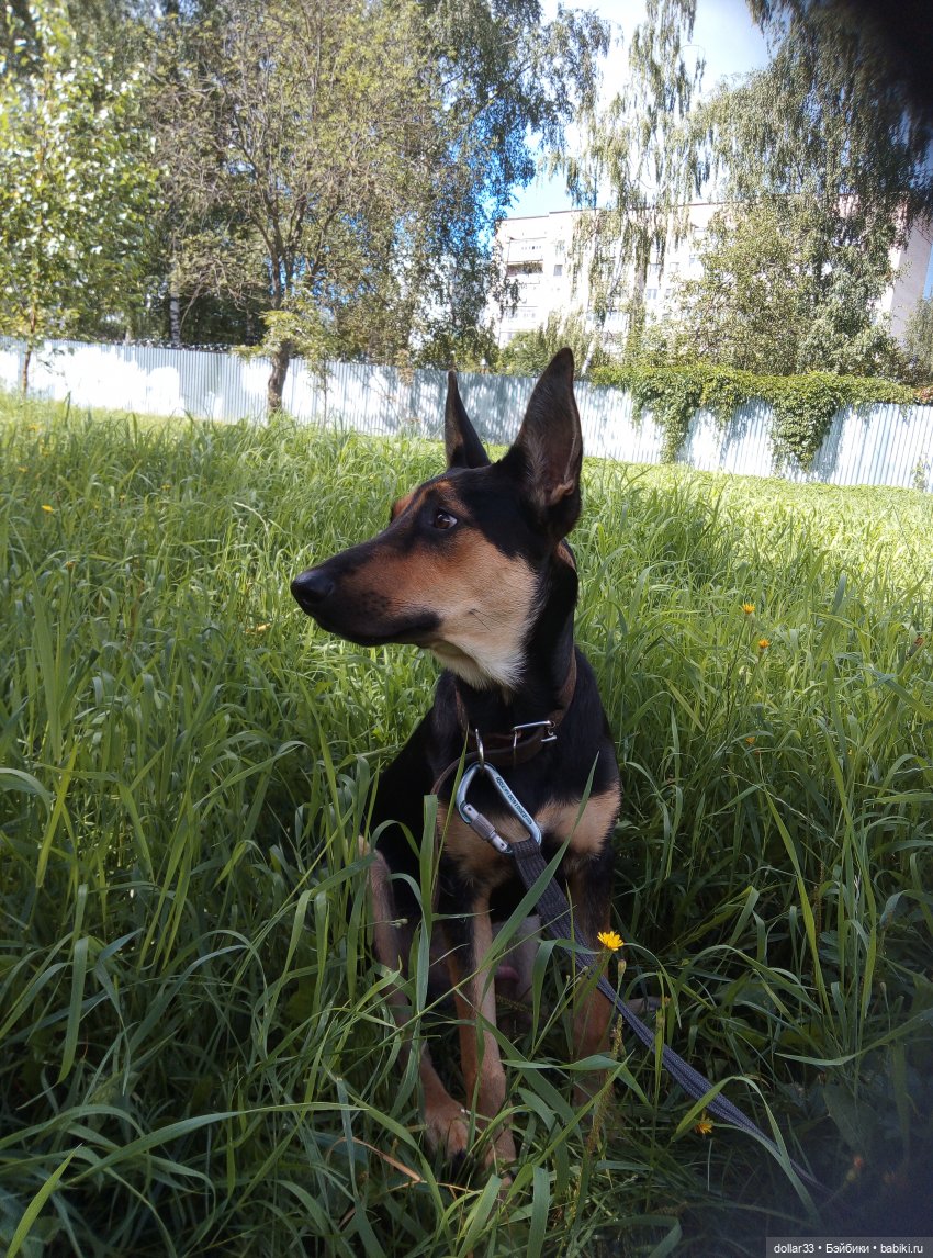 Наше лето 2020. Злата. Катюша. Эсна. Конг