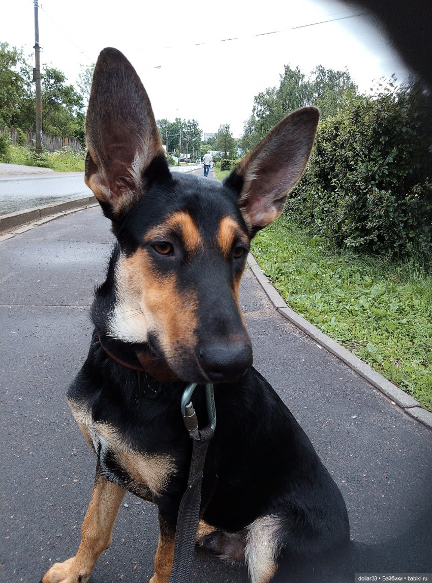 Наше лето 2020. Злата. Катюша. Эсна. Конг