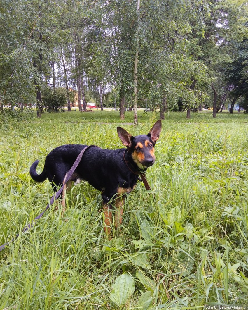 Наше лето 2020. Злата. Катюша. Эсна. Конг